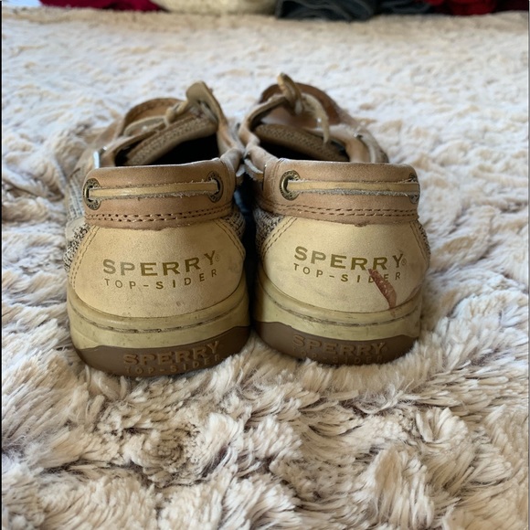 Sperry flats - Picture 3 of 3